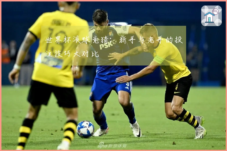 世界杯滚球竞猜：新手与老手的投注技巧大对比