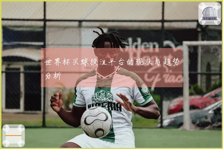 世界杯买球投注平台的现状与趋势分析