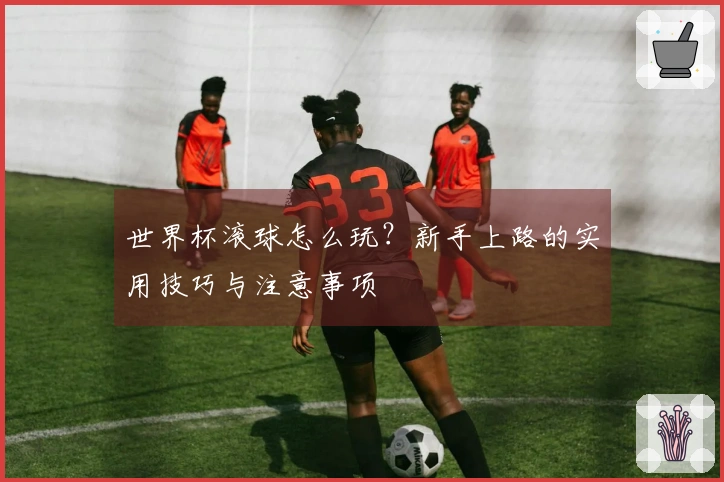 世界杯滚球怎么玩？新手上路的实用技巧与注意事项
