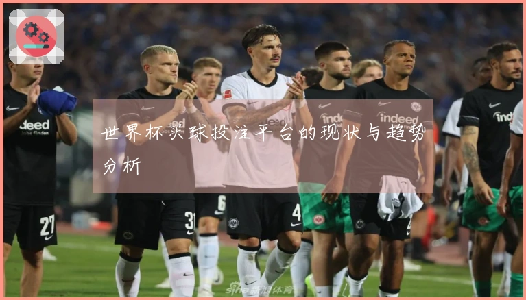 世界杯买球投注平台的现状与趋势分析