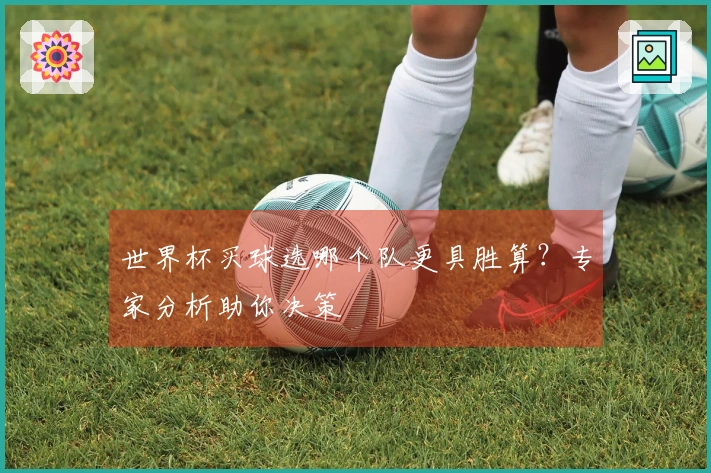 世界杯买球选哪个队更具胜算？专家分析助你决策
