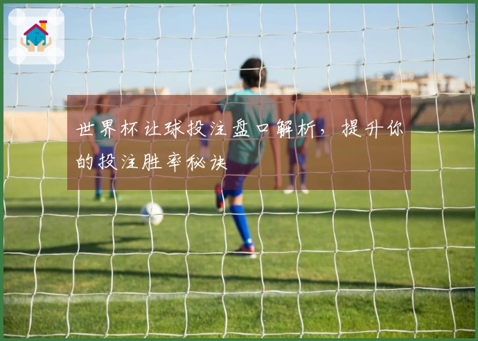 世界杯让球投注盘口解析，提升你的投注胜率秘诀