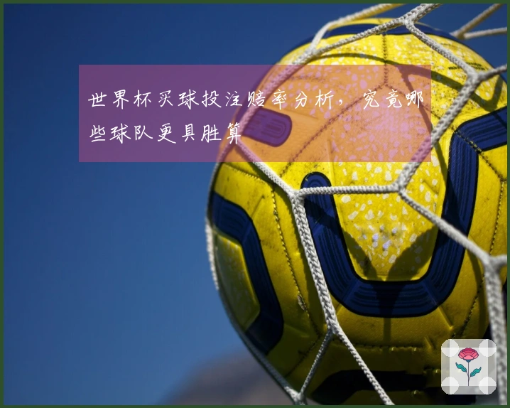 世界杯买球投注赔率分析，究竟哪些球队更具胜算