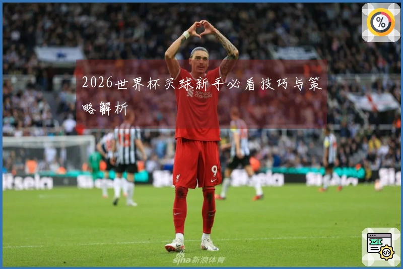 2026世界杯买球新手必看技巧与策略解析