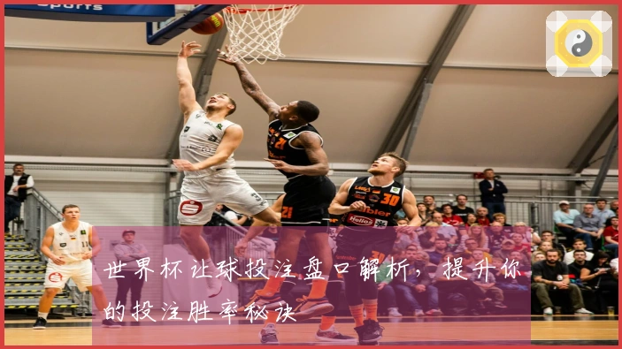 世界杯让球投注盘口解析，提升你的投注胜率秘诀