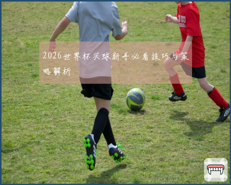 2026世界杯买球新手必看技巧与策略解析