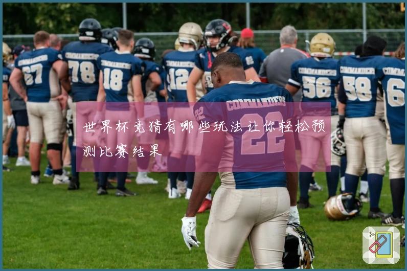 世界杯竞猜有哪些玩法让你轻松预测比赛结果
